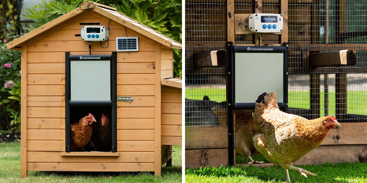 komplet-automatickeho-otevirani-a-zavirani-kurniku-chicken-guard-pro-25x30-solar-kit-v1-praxe